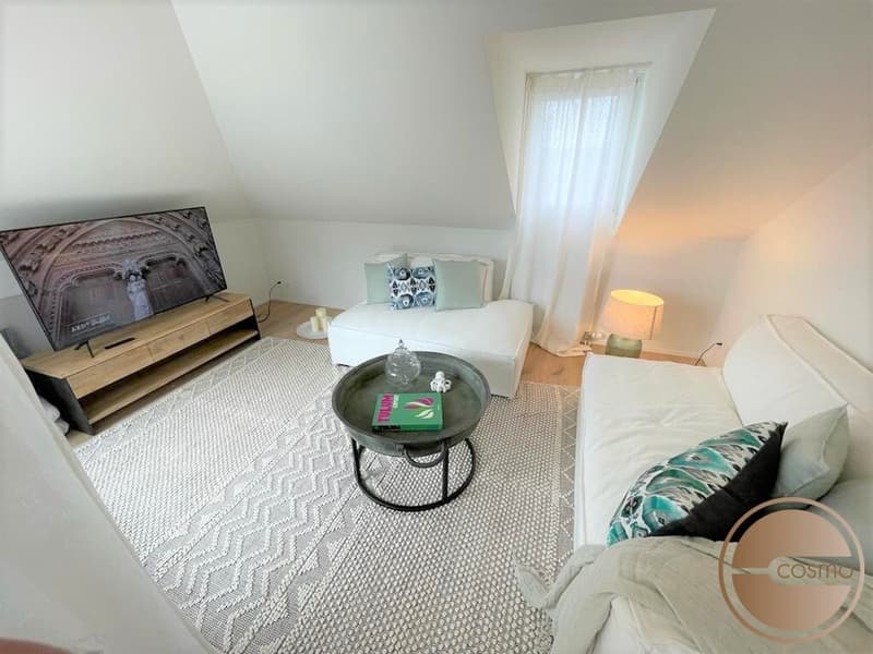 GROSSZÜGIGES WOHNEN: 2/3-SCHLAFZIMMER APARTMENT / LIVING AT ITS FINEST: 2/3 BEDROOM APARTMENT (12)