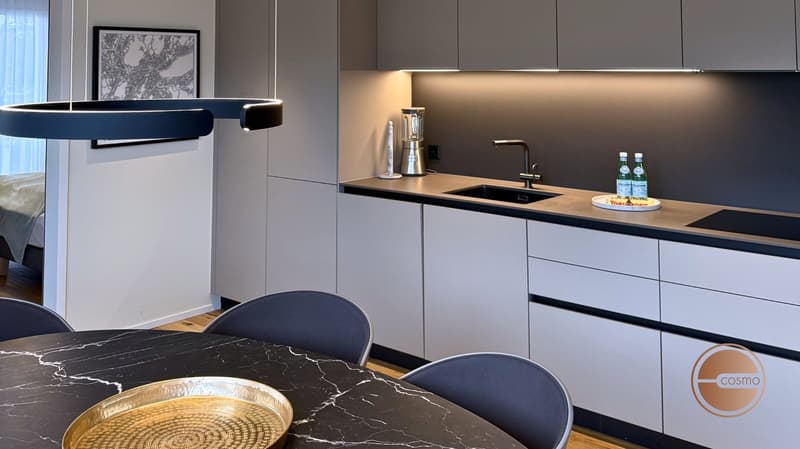 EXKLUSIVE ATTIKAWOHNUNG MIT ATEMBERAUBENDER AUSSICHT / EXCLUSIVE PENTHOUSE WITH BREATHTAKING VIEWS (3)