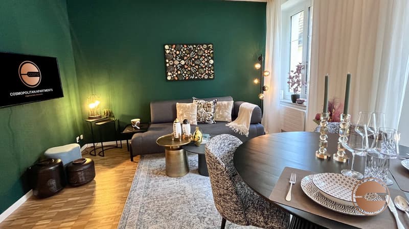 NEU! MODERNES 2-BEDROOM SERVICED APARTMENT / NEW! MODERN 2-BEDROOM SERVICED APARTMENT (3)