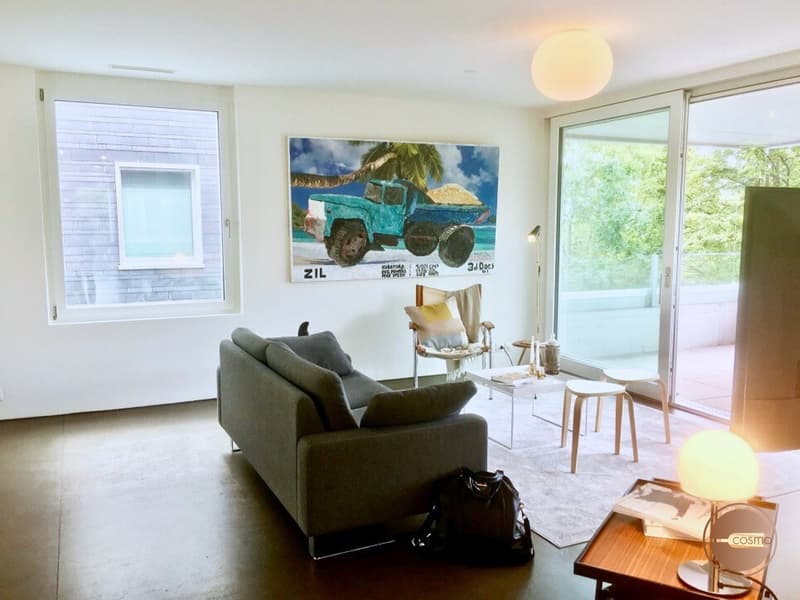 STILVOLLES 4.5 ZI. APARTMENT MITTEN IN DER STADT / STYLISH 4.5 ROOM APARTMENT IN THE MIDDLE OF CITY (3)
