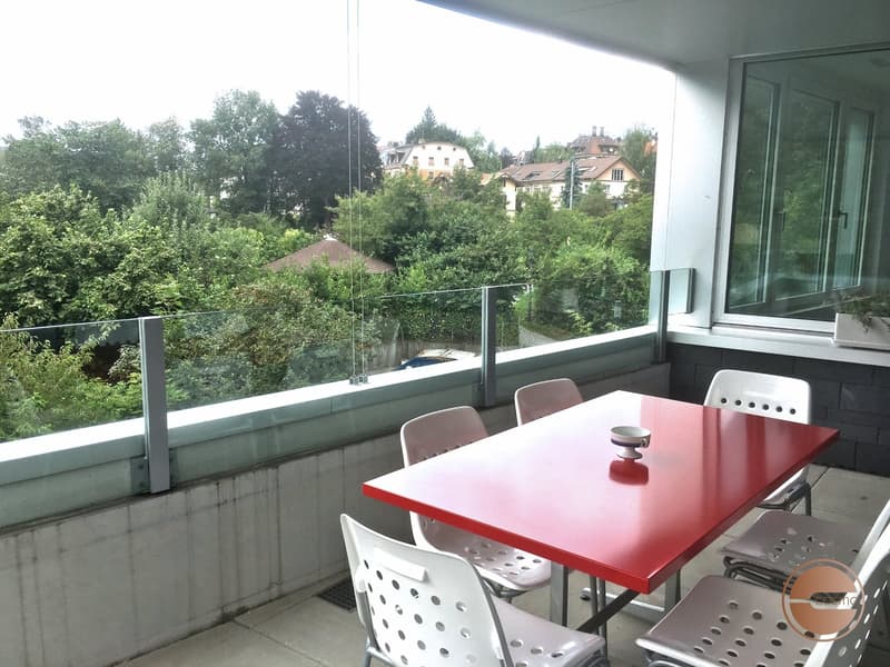 STILVOLLES 4.5 ZI. APARTMENT MITTEN IN DER STADT / STYLISH 4.5 ROOM APARTMENT IN THE MIDDLE OF CITY (12)