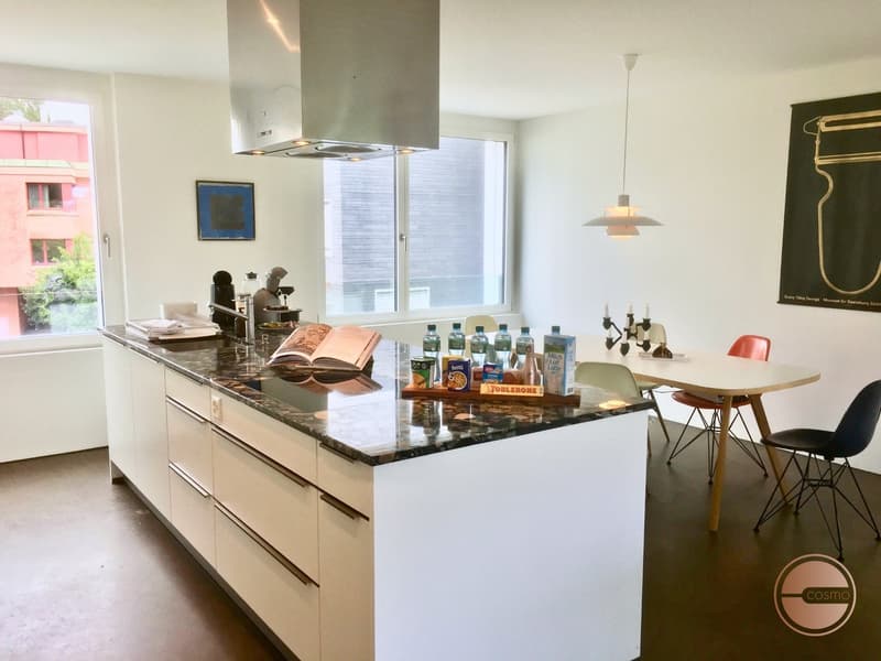STILVOLLES 4.5 ZI. APARTMENT MITTEN IN DER STADT / STYLISH 4.5 ROOM APARTMENT IN THE MIDDLE OF CITY (7)