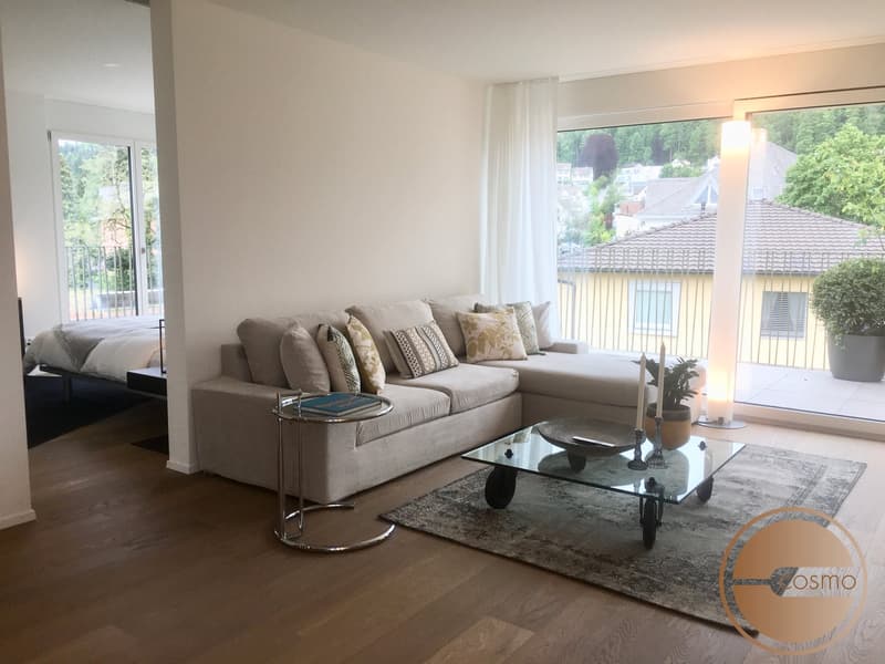 All inklusive Wohnen! Exklusive Attika-1-Schlafzimmer-Serviced Apartment mit Rundumterrasse (1)