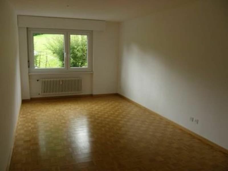 Vivre dans le quartier de Schoren à St-Gall (5)