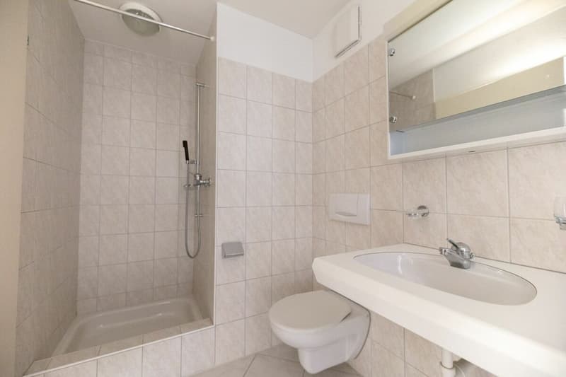 Zona residenziale tranquilla e affascinante (3)