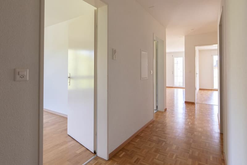 Zona residenziale tranquilla e affascinante (6)