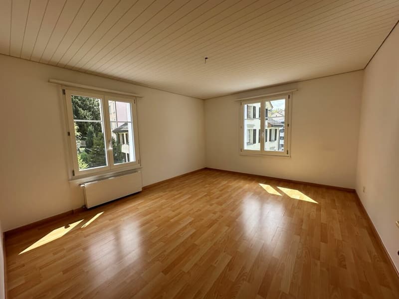 4.5 room old building apartment (3)