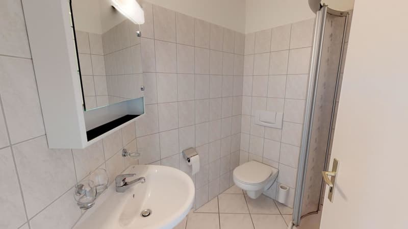 ATTRAKTIVE Wohnung sucht Mieter (4)