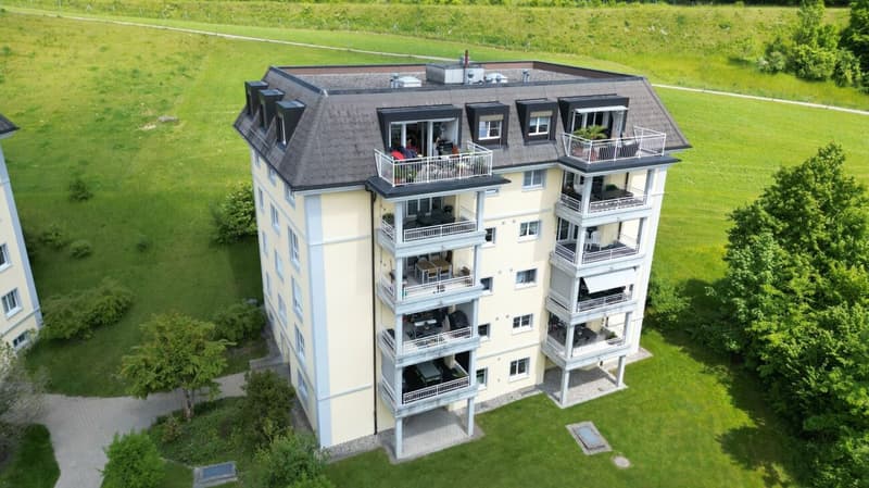 Attractive apartment seeks tenant (1)
