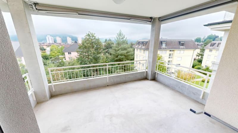 Attractive apartment seeks tenant (9)