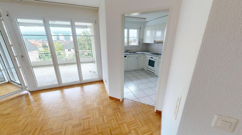 Attractive apartment seeks tenant (5)