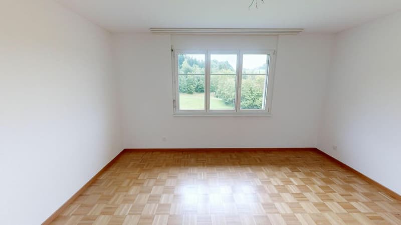 Attractive apartment seeks tenant (7)