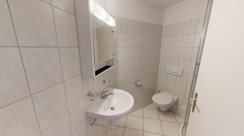 Attractive apartment seeks tenant (4)