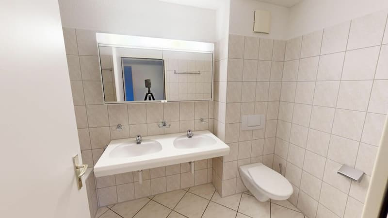 Attractive apartment seeks tenant (3)