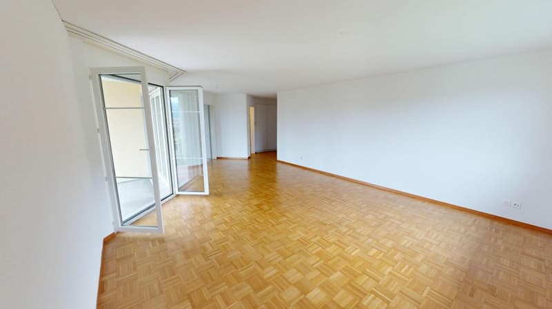 Attractive apartment seeks tenant (6)