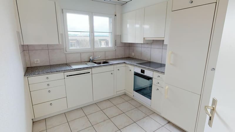 Attractive apartment seeks tenant (2)