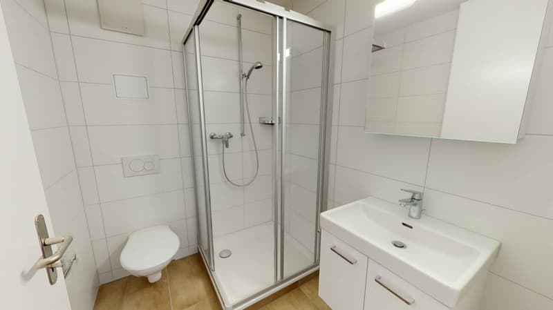 Moderne Single-Wohnung mit Frühlingsrabatt (3)