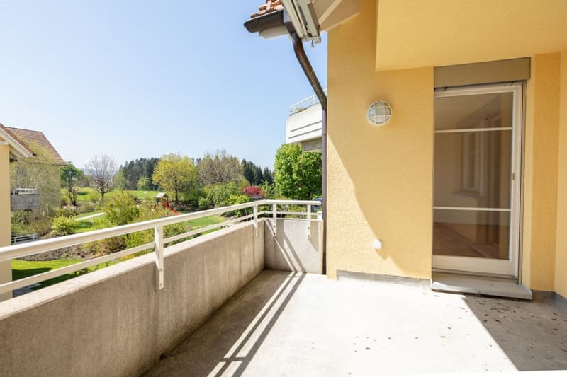 Schöne 4.5 Zimmer-Wohnung zu vermieten (7)