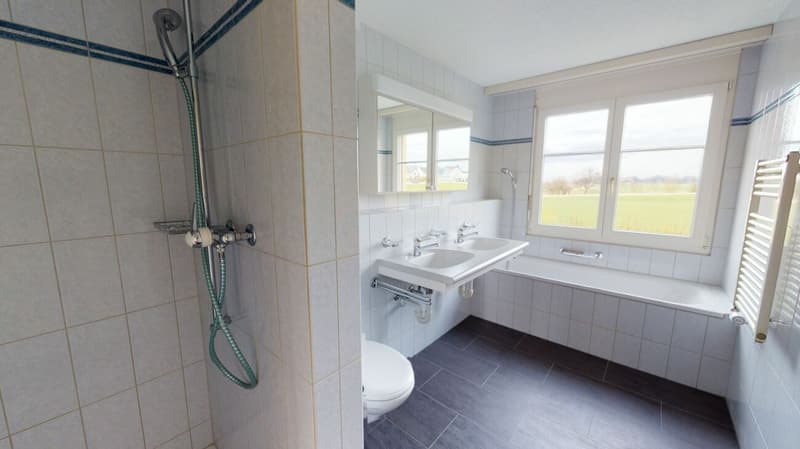 Schöne 4.5 Zimmer-Wohnung zu vermieten (3)