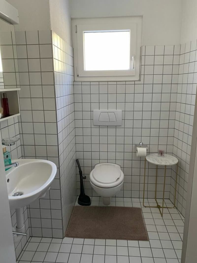 BEAUTIFUL family apartment seeks tenant (5)