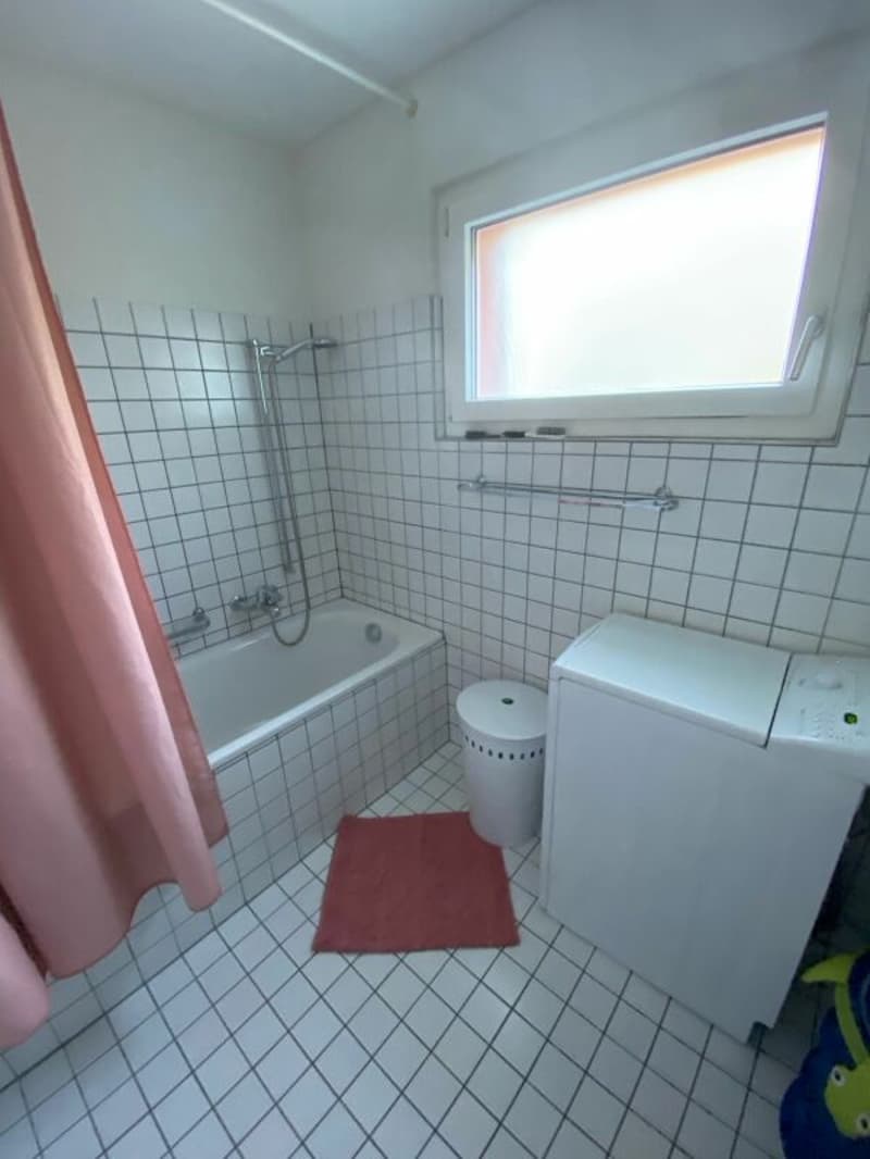 BEAUTIFUL family apartment seeks tenant (4)