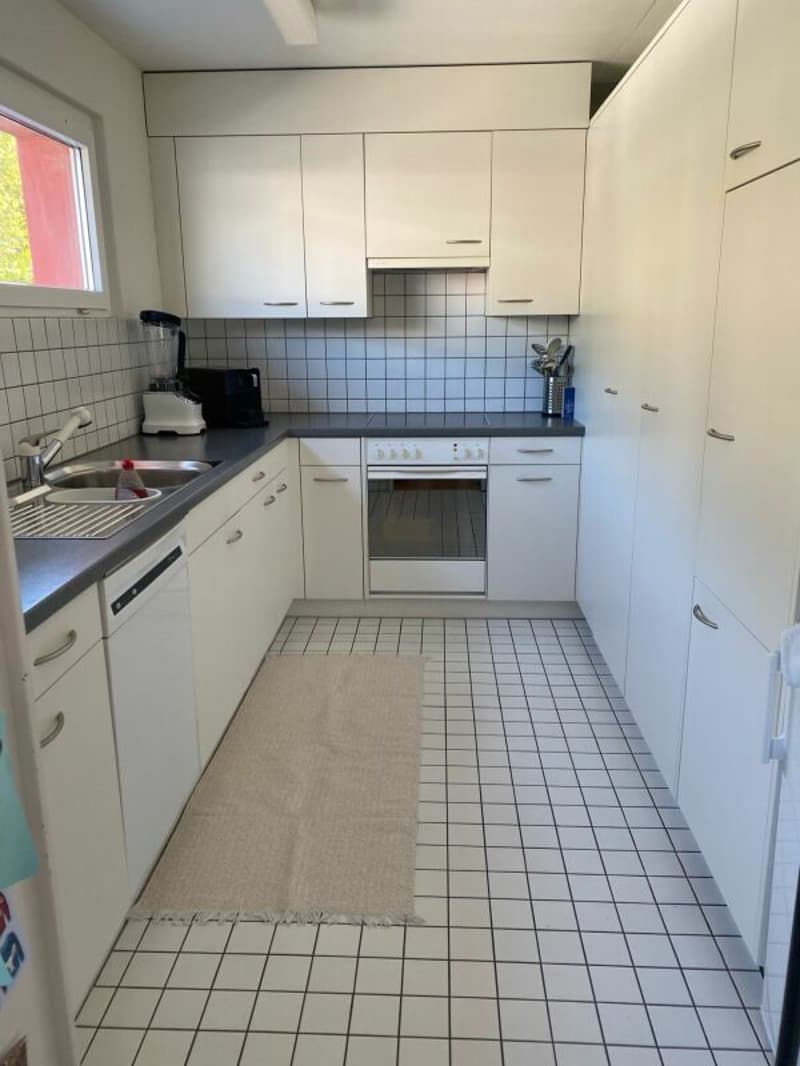 BEAUTIFUL family apartment seeks tenant (3)