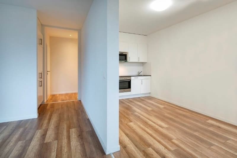 Zentrale 1.5-Zimmer-Wohung am See (4)