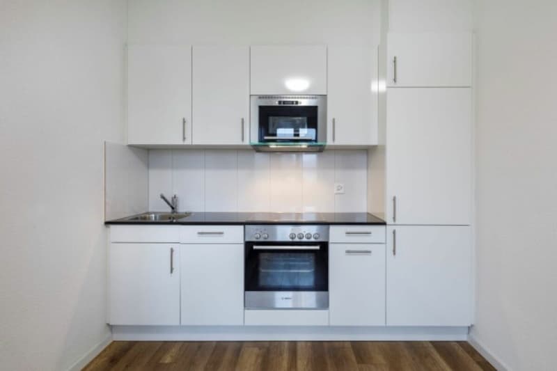 Zentrale 1.5-Zimmer-Wohung am See (3)
