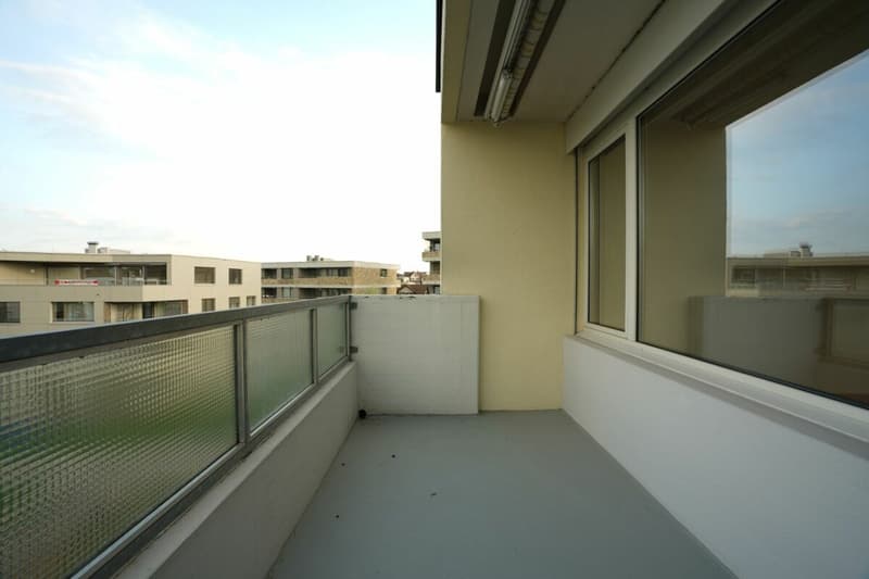Cozy 3.5 room apartment looking for new tenant (8)