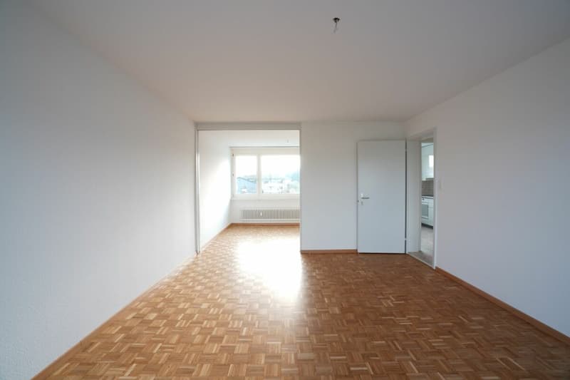 Cozy 3.5 room apartment looking for new tenant (2)