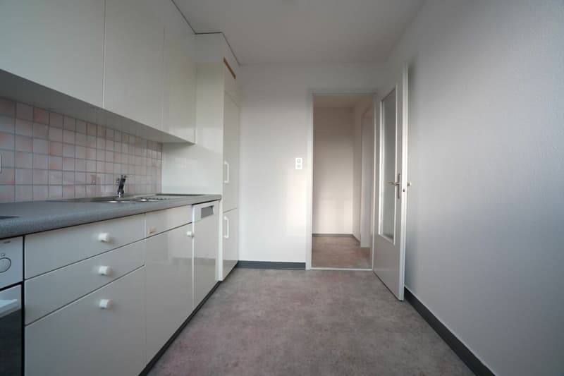 Cozy 3.5 room apartment looking for new tenant (4)