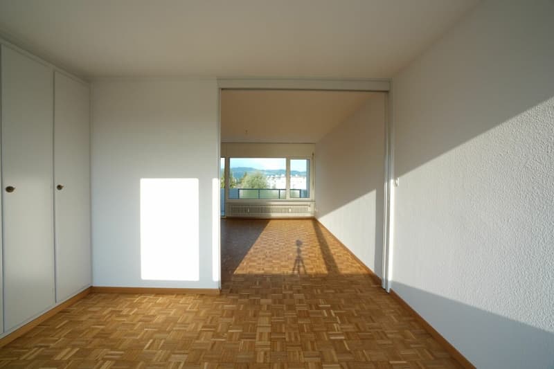 Cozy 3.5 room apartment looking for new tenant (3)