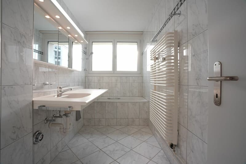 Cozy 3.5 room apartment looking for new tenant (5)