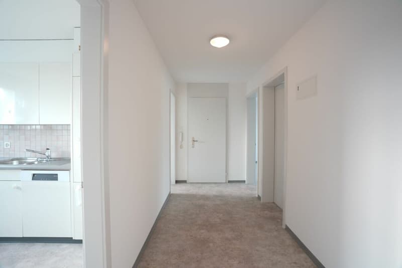 Cozy 3.5 room apartment looking for new tenant (6)