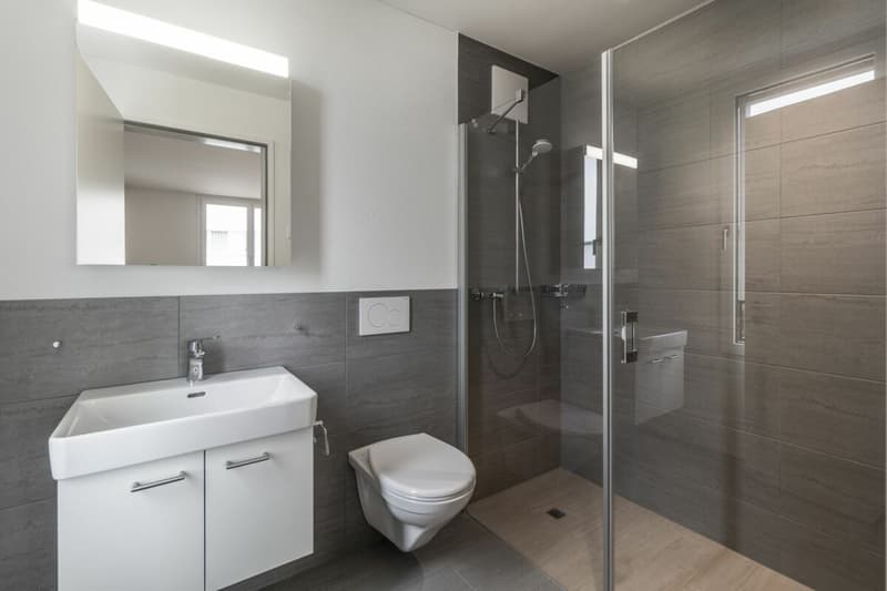 Appartement moderne de 3,5 pièces (11)