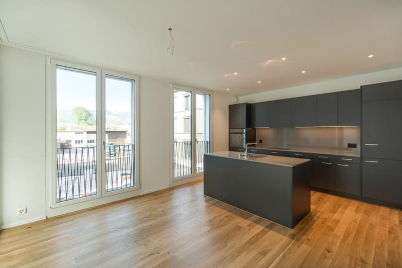 Appartement moderne de 3,5 pièces (3)