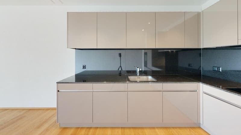 Appartamento esclusivo di 2,5 locali sul lago (3)