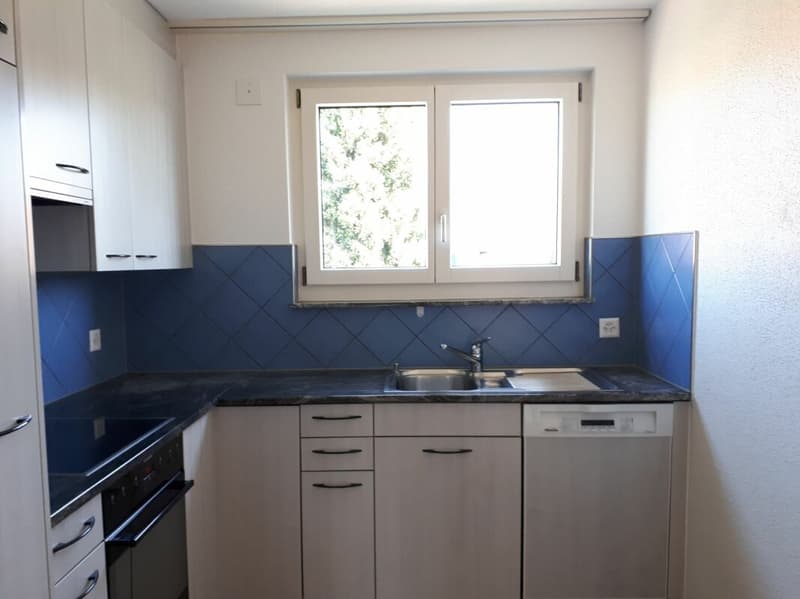 Charmant appartement de 6.0 pièces (3)