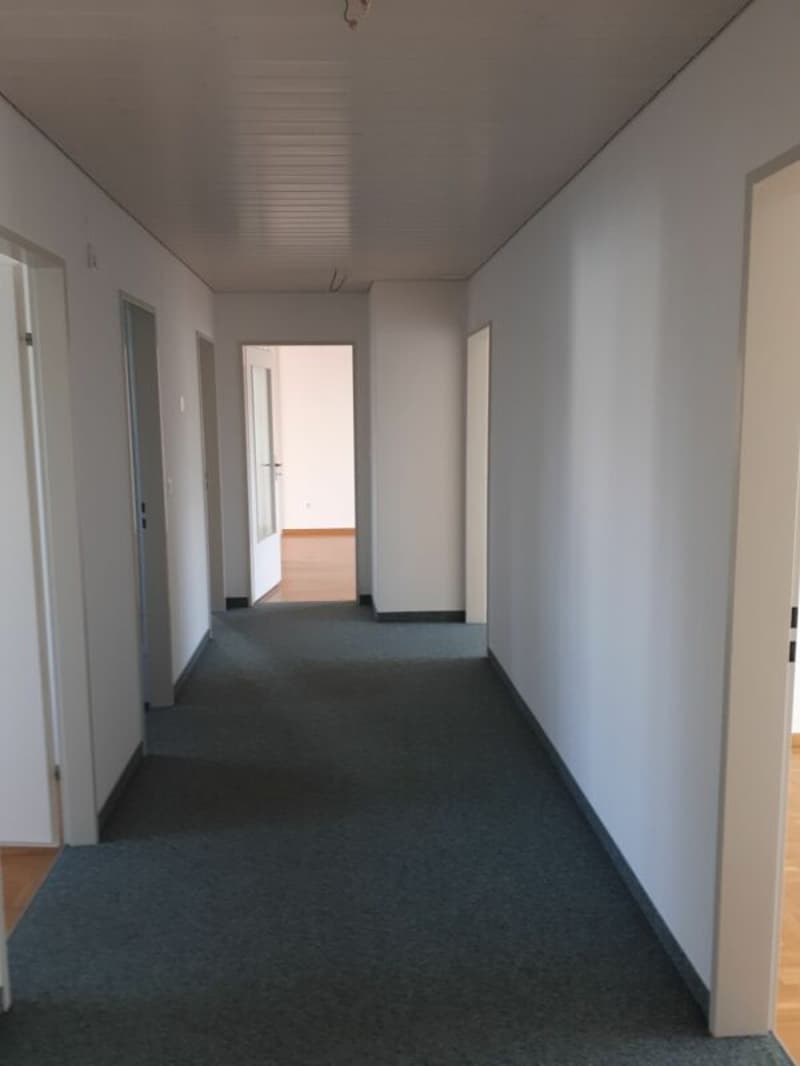 Charmant appartement de 6.0 pièces (2)