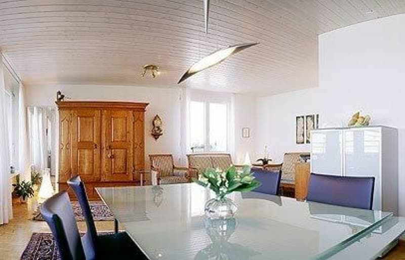 4.5 Zimmer Attikawohnung mit grosser Terrasse (2)