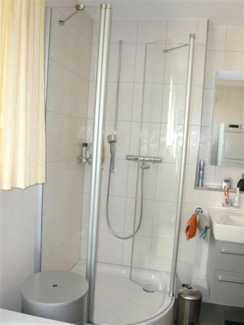 4.5 Zimmer Attikawohnung mit grosser Terrasse (5)