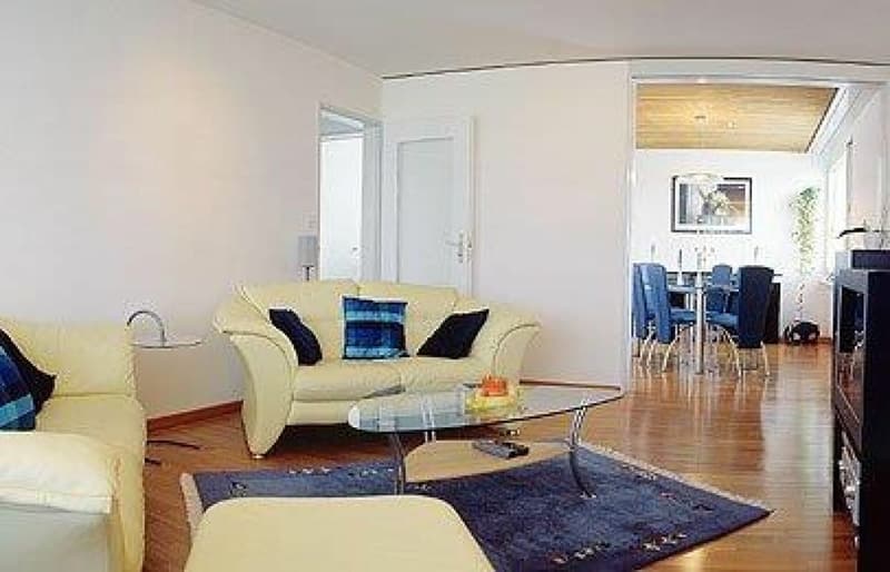 4.5 Zimmer Attikawohnung mit grosser Terrasse (3)