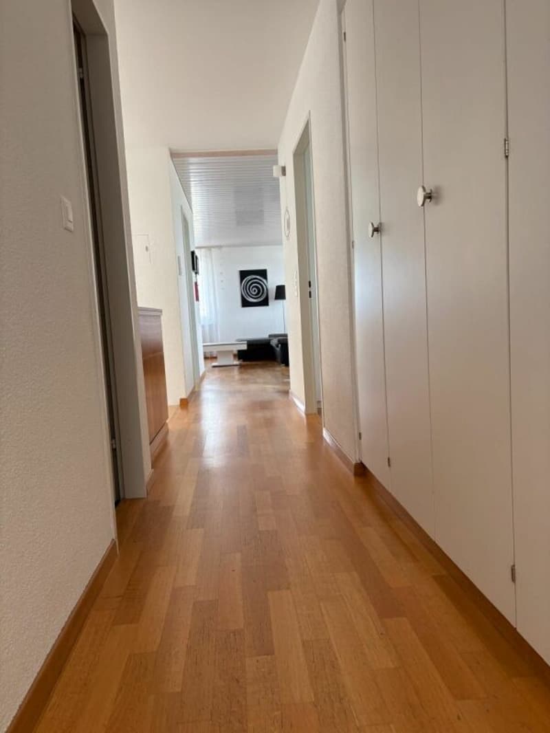Appartamento mansardato di 4,5 locali con ampia terrazza (5)
