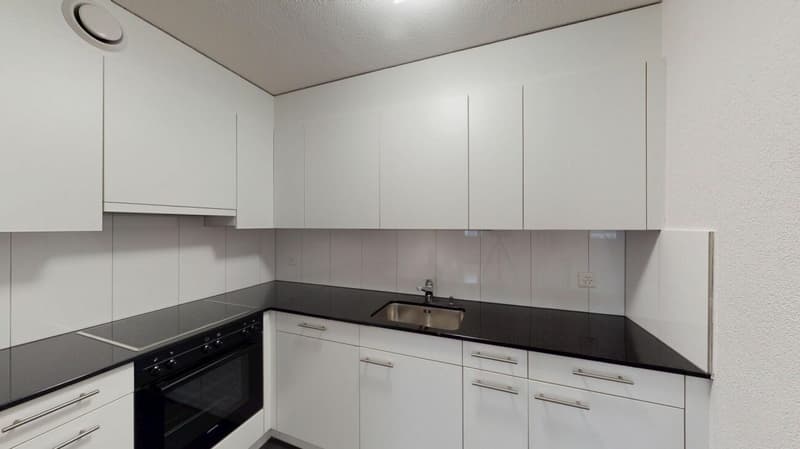 2.5 Room Apartment with Balcony (2)
