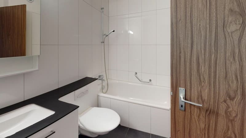 2.5 Room Apartment with Balcony (4)