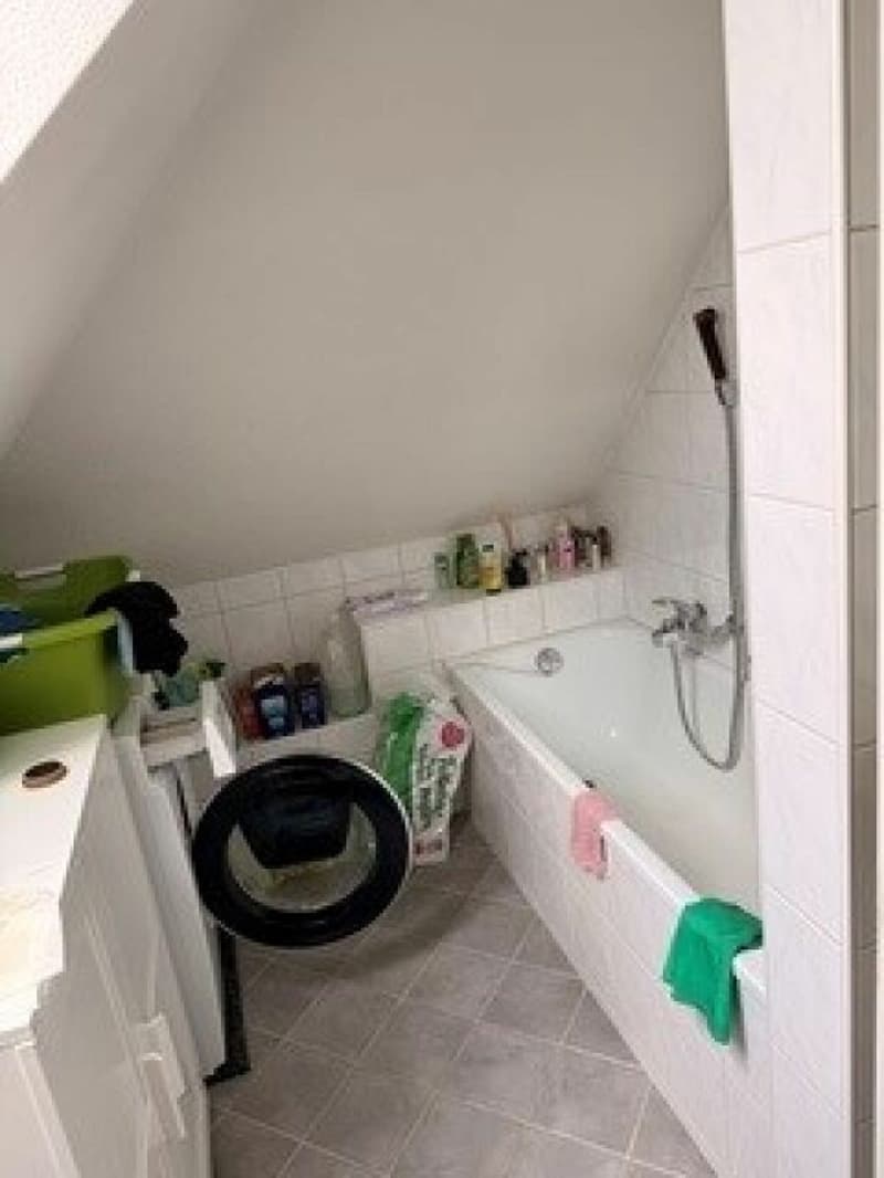 4.5 room old building apartment with large roof terrace (7)