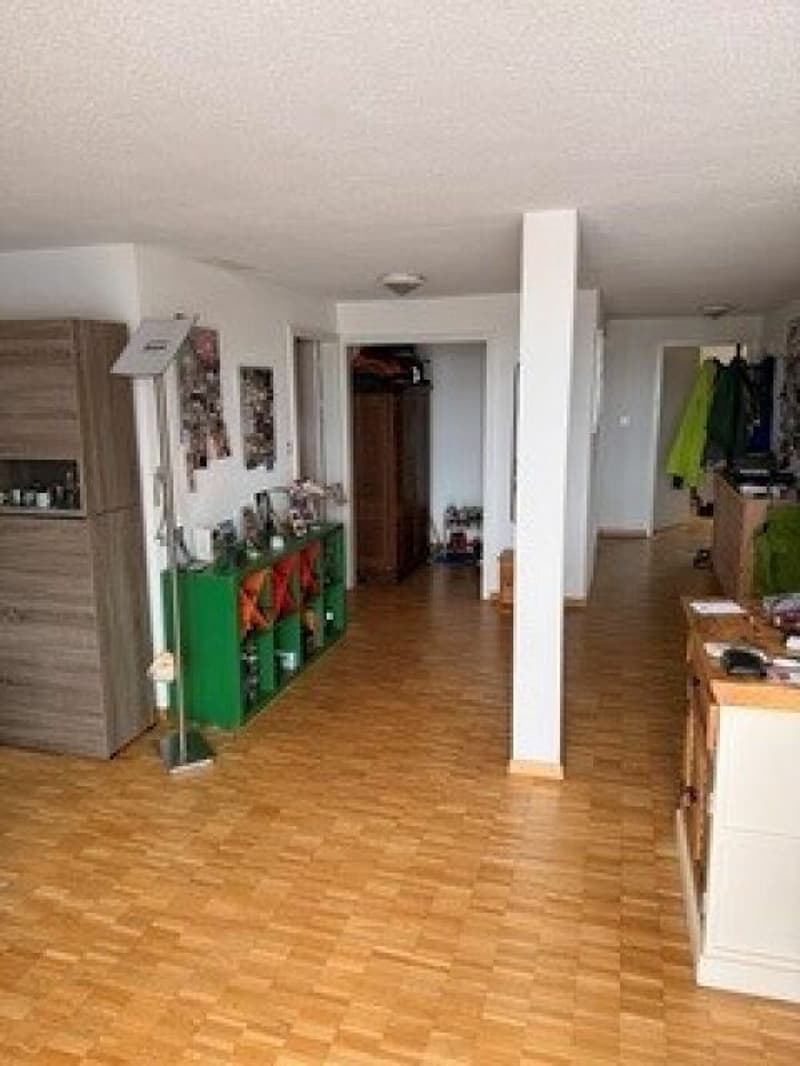4.5 room old building apartment with large roof terrace (6)