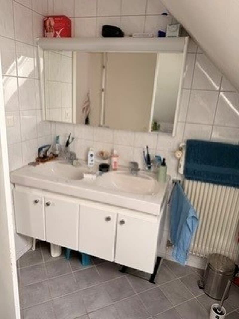 4.5 room old building apartment with large roof terrace (8)