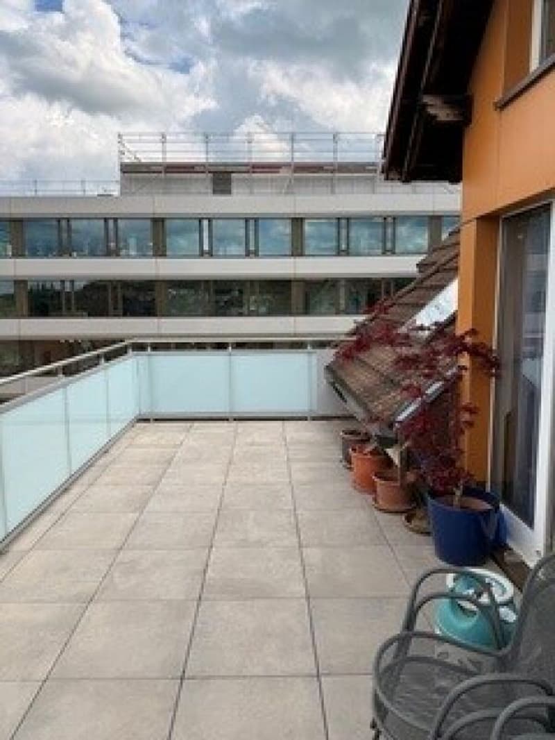 4.5 room old building apartment with large roof terrace (2)