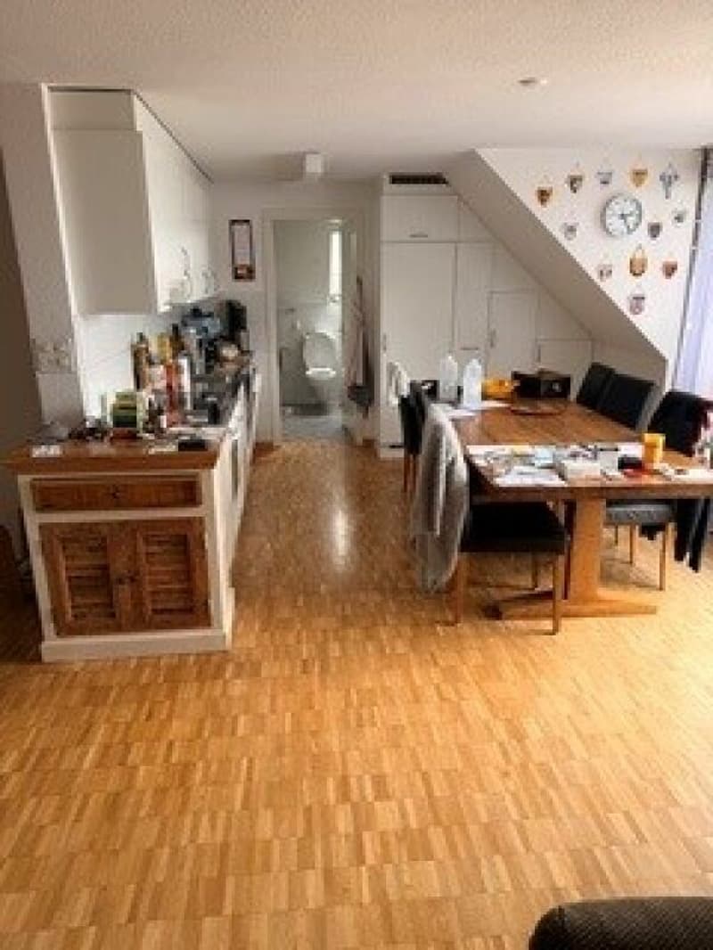 4.5 room old building apartment with large roof terrace (5)